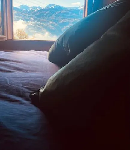 Hébergement de vacances Cocon à La Vue Imprenable !
